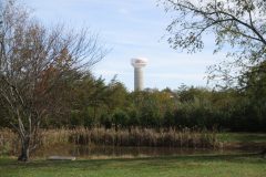 IMG_2380