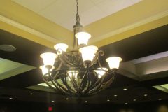 IMG_9781