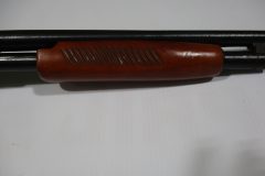 IMG_1053