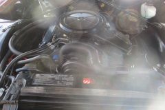 IMG_9691