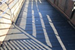 IMG_8873
