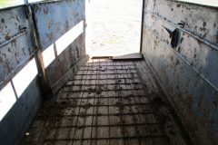 IMG_8883