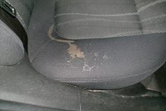 KODAK Digital Still Camera