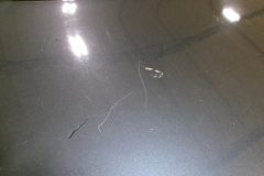 KODAK Digital Still Camera