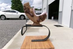 KODAK Digital Still Camera