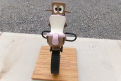 KODAK Digital Still Camera