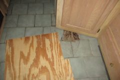 IMG_0871