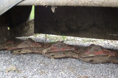 IMG_0943