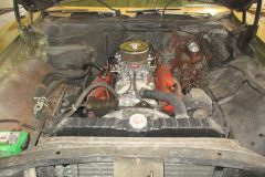 IMG_1433