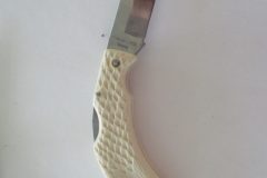 2_IMG_0688