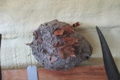 IMG_0888