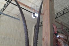 IMG_0961